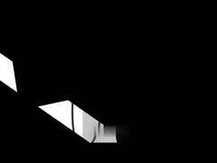 Caricabatterie DC EV per diverse potenze di uscita