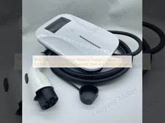 Stazione di ricarica a parete per veicoli elettrici da 7KW 220V AC con display a colori da 4,3 pollici, acciaio zincato e vetro temperato