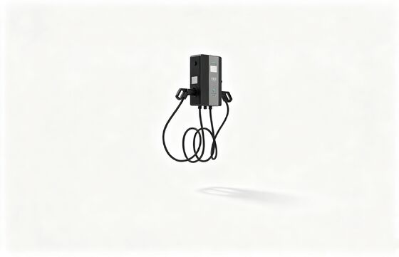 Un buon prezzo. 7kW caricabatterie per veicoli elettrici a corrente alternata montata a parete. in linea