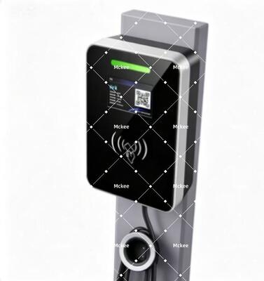 Un buon prezzo. Pistola di ricarica portatile per veicoli elettrici con specifiche UE in linea